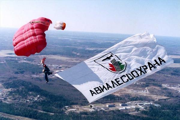 авиалесохрана