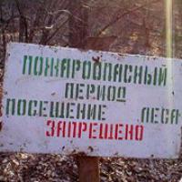 Запрет на посещение лесов 