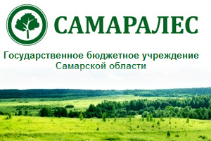  ГБУ СО «Самаралес»