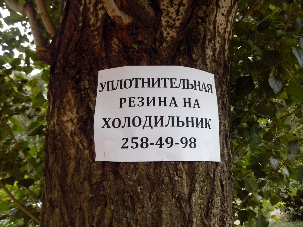 объявления на деревьях