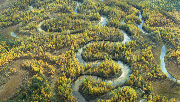 WWF Russia