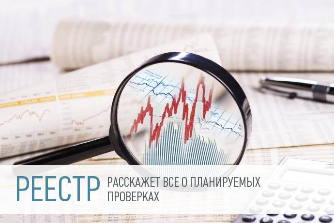  Единый реестр проверок