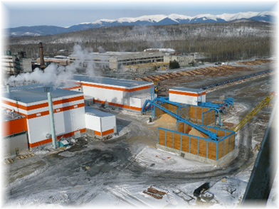 Амур Форест
