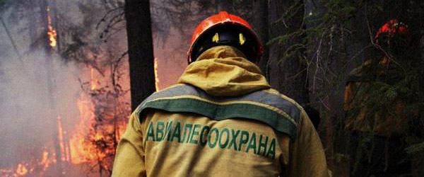 Рослесхоз направил в Забайкальский край доппомощь