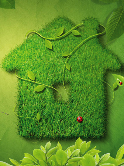 WWF стратегия