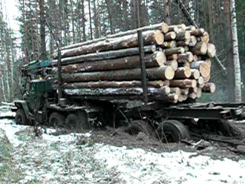 вывоз деревьев с делянок