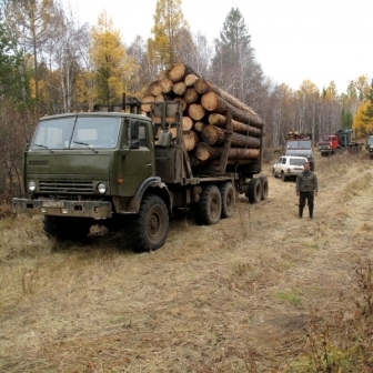 Сделки с древесиной