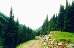 kyrgystan