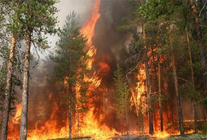 Челябинск, лесные пожары