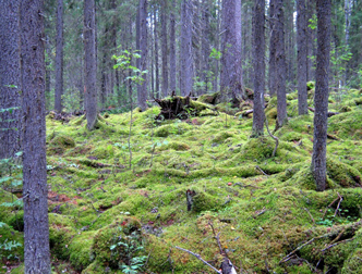 malonarushen_les