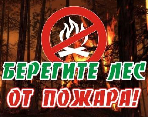 Защитим лес от огня!