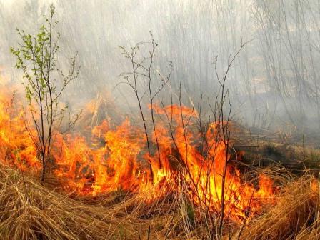 пожары в Иркутской области