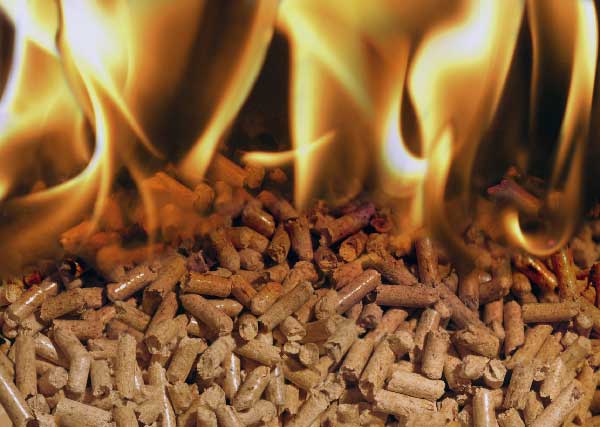 pellets