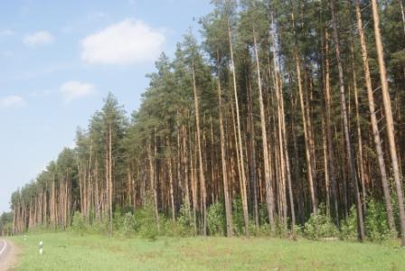 Минобороны, земли, закон