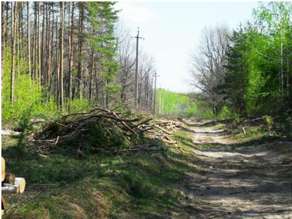 tambov