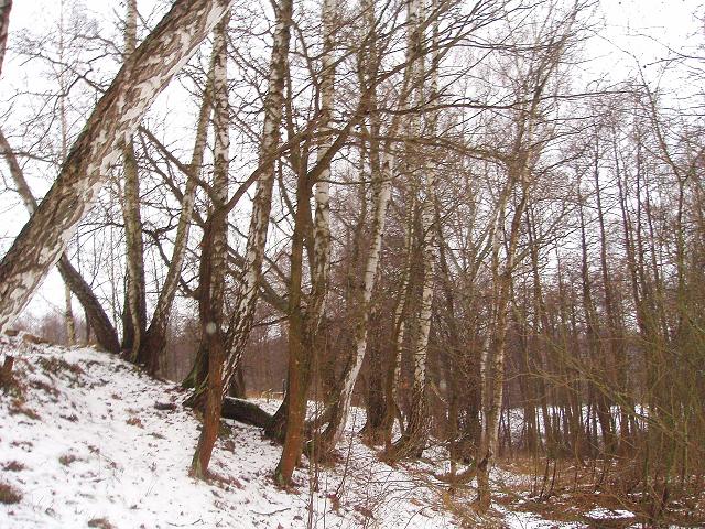 tulskijles