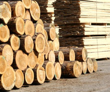 лесопереработка, лесозаготовка,  ЗАО «Роскитинвест», AVIC-Forestry Co, Ltd