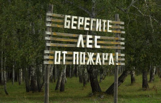 лес, лесоохрана, защита леса, лесные пожары
