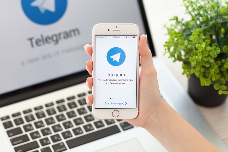 Интернет-журнал «Дерево.RU» запустил собственный канал в «Telegram»