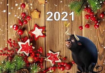 C наступающим Новым Годом и Рождеством!