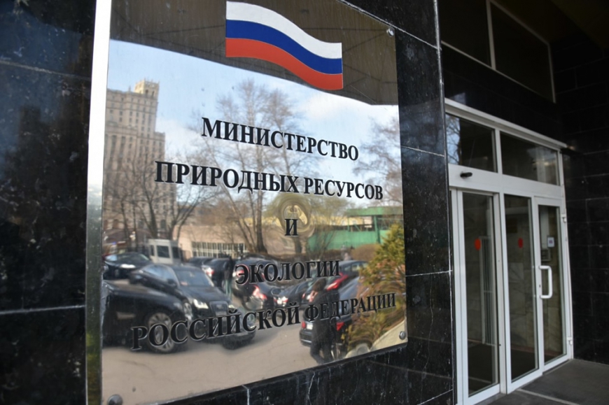 Механизм договоров купли-продажи леса обеспечил рост доходов бюджета РФ на 1,3 млрд руб