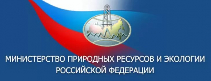 Минприроды России обратилось в Генпрокуратуру РФ в связи с рубками леса в Сочинском национальном парке