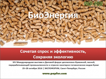 Биоэнергетика – ключ к будущему ЦБП?