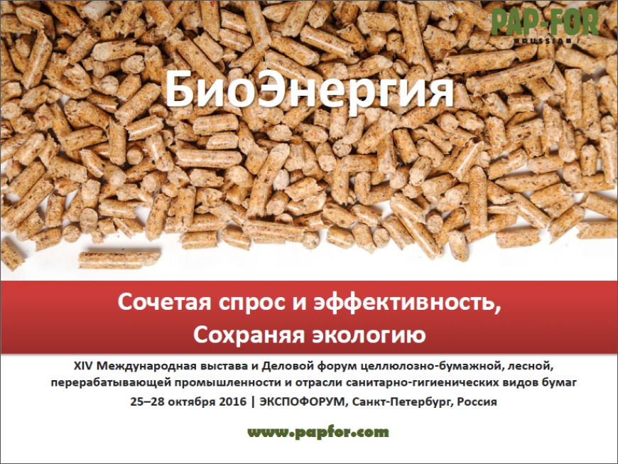 Биоэнергетика – ключ к будущему ЦБП?