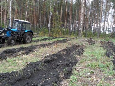 В лесничествах Воронежской области начались работы по подготовке почвы под лесные культуры будущего года